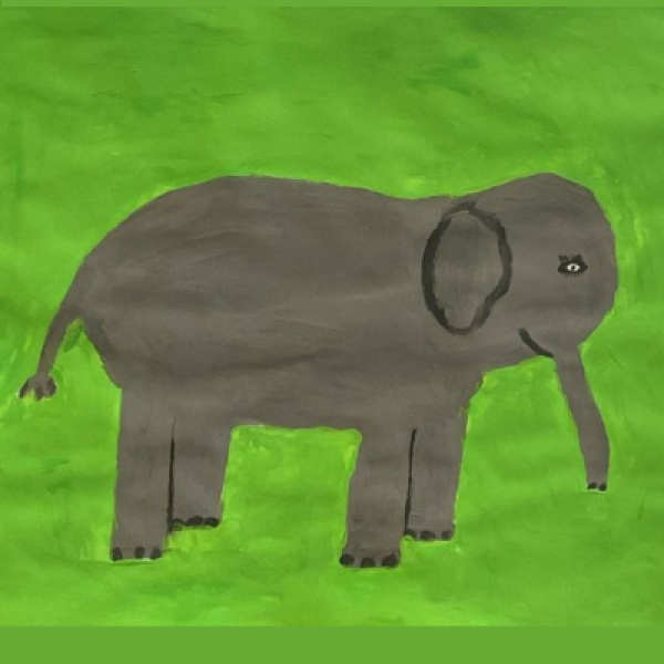 elefant